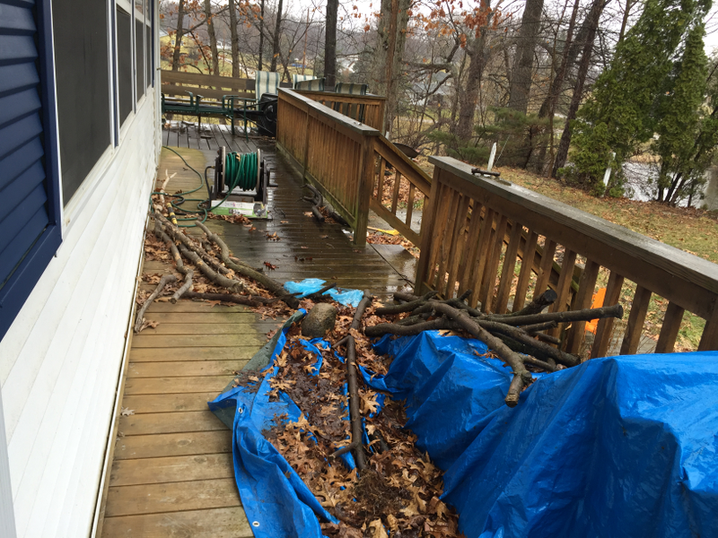 And I just realized I left the hoses out all winter. Oh well, they were all damaged to begin with.